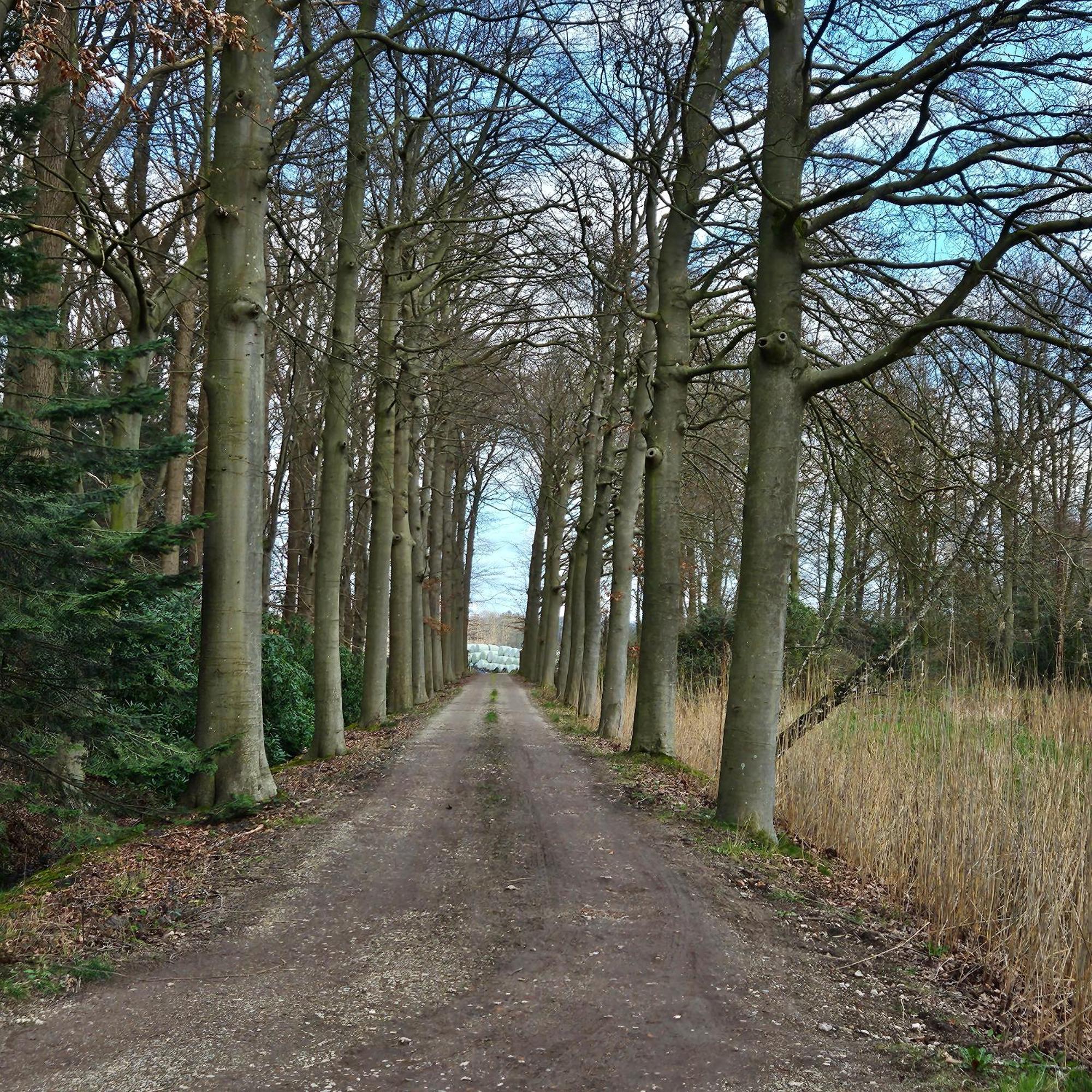 Holiday Home Countryside, Langbroek / Doorn Extérieur photo
